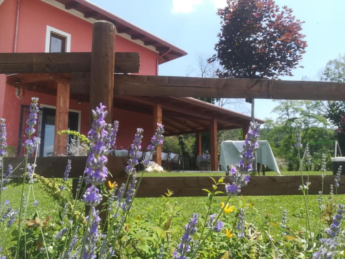 Bed and Breakfast La Cascina Nel Bosco Faicchio Екстер'єр фото